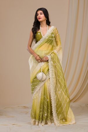 Mehendi Gotapatti Net Saree